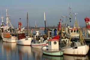 Der Hafen